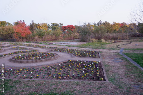 川のある公園の紅葉