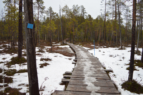 Obraz na płótnie Pyhä-Luosto national park w salonie