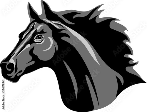 Horse  portrait  white  black  vector  graphics  drawing  picture  stylization  image  isolated  illustration  gray  shades