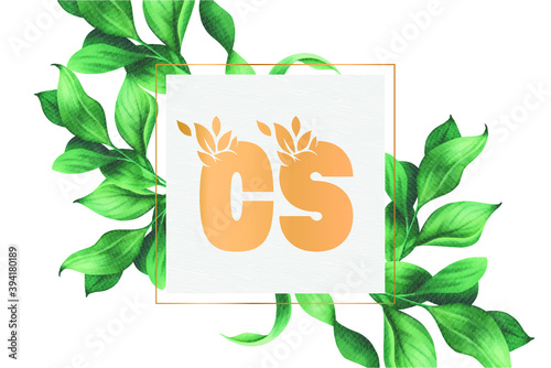 CS C S initial floral abstract logo template vector image.