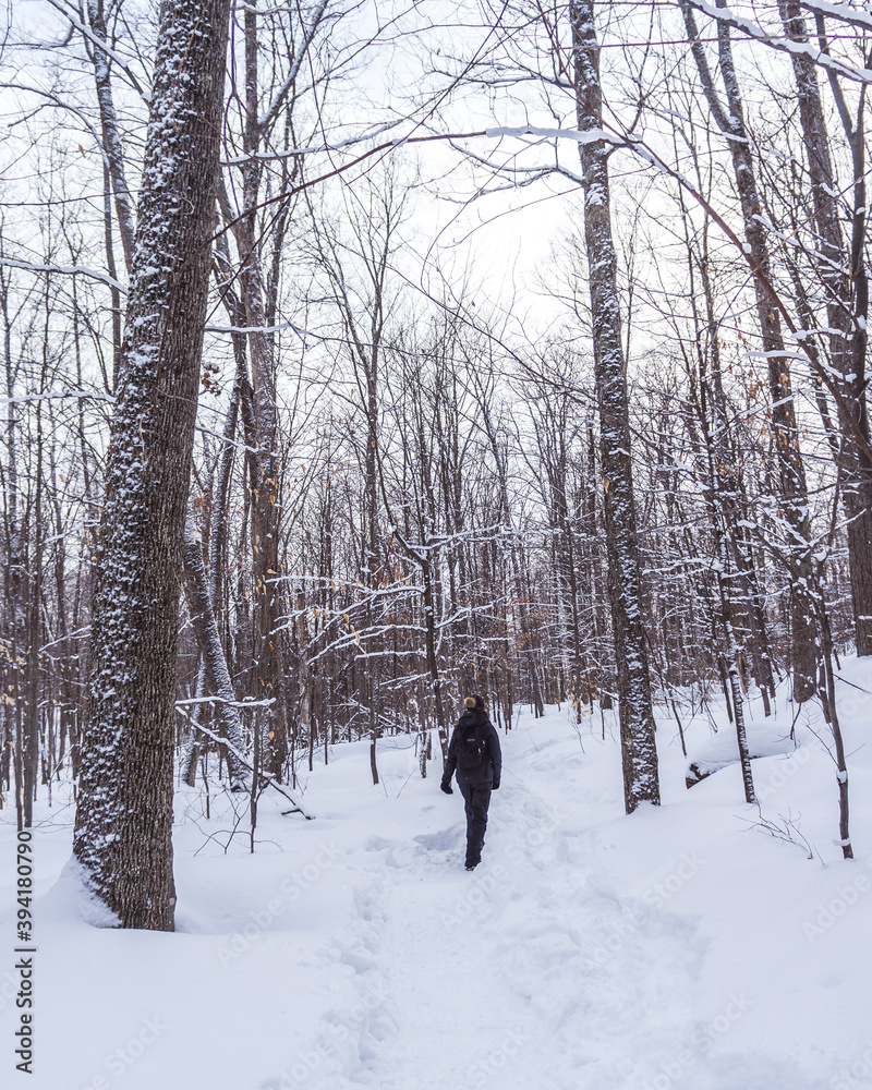 Women hiking in the forest of Mont Orford National Park in Quebec during winter. Women hiking in the forest of Mont Orford National Park in Quebec during winter.