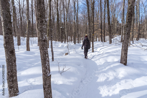 Women hiking in the forest of Mont Orford National Park in Quebec during winter.  © Pernelle Voyage