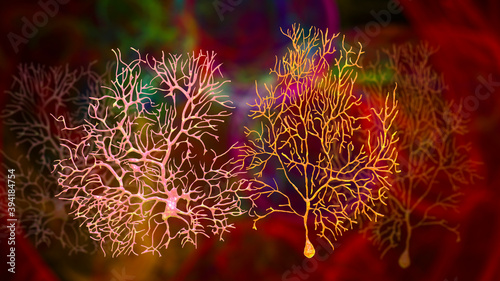 Canvas Print Purkinje neuron, GABAergic neuron located in the cerebellum