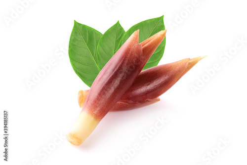 mioga isolated on a white background photo