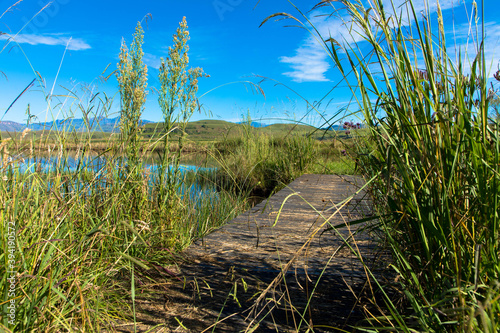 Wooden walkway leading across a with reed and grass overgrown lake. Nature reserve South Africa photo