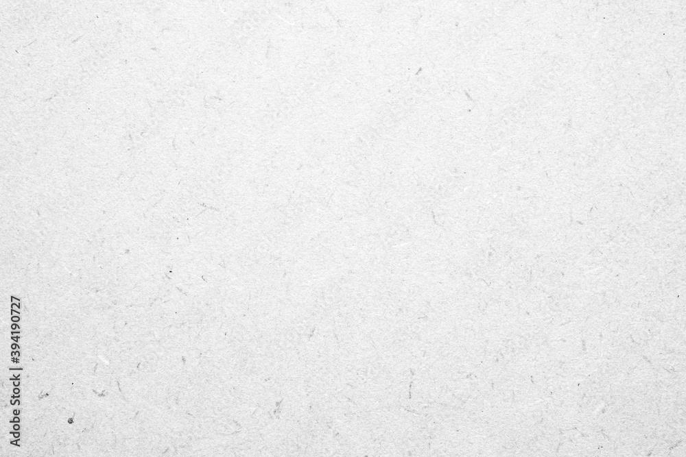 Fototapeta premium White recycle kraft paper cardboard surface texture background