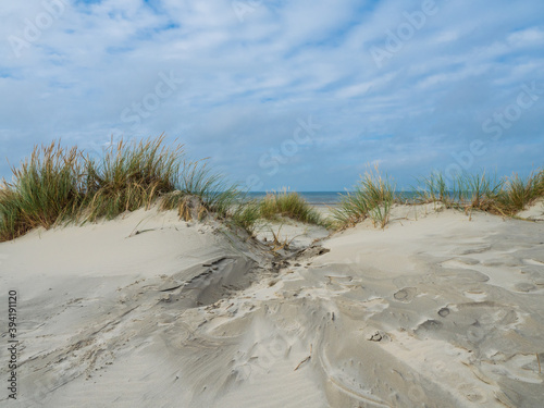 View over the dunes of Ameland  Holland