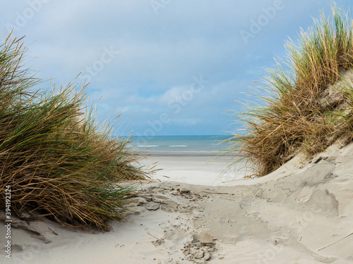 View over the dunes of Ameland  Holland