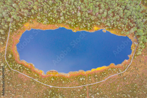 Fotografie, Obraz Aerial top down view of dark blue swamp lake in the green forest with footbridge