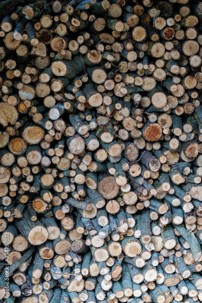 firewood log texture in nature