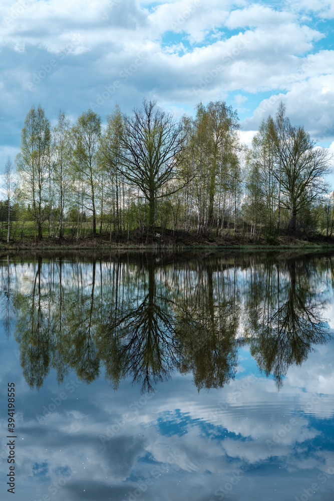 blue sky reflections in clear water pond with spring trees and mirror water