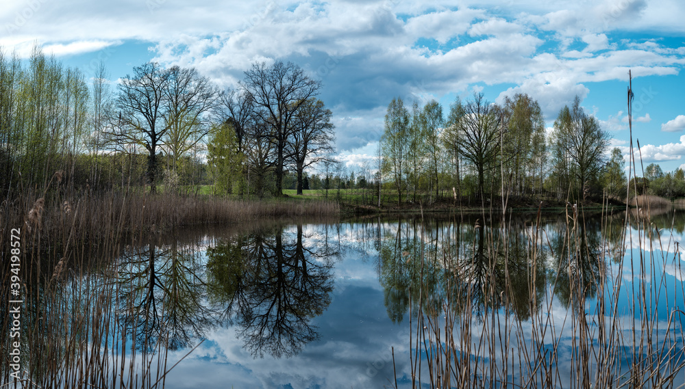 blue sky reflections in clear water pond with spring trees and mirror water