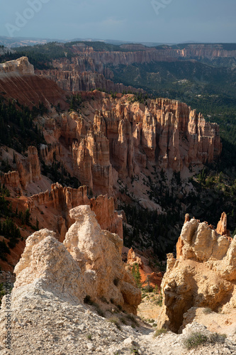 Morning sunrise at Bryce Canyon National Park Utah hoodoos and canyons with beautiful pine trees scattered in the valley.
