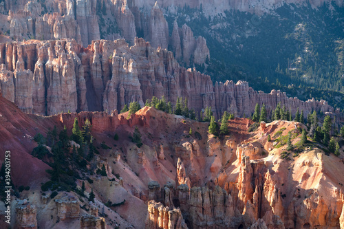 Morning sunrise at Bryce Canyon National Park Utah hoodoos and canyons with beautiful pine trees scattered in the valley. © mark
