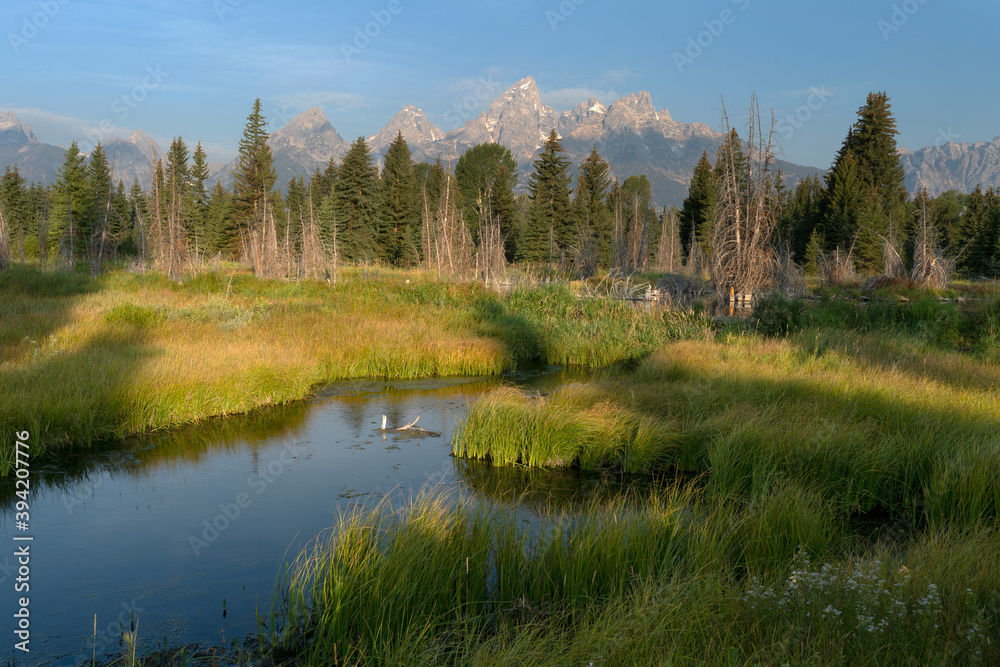 Grand Teton National Park 2020 during morning sunrise near a quiet stream and pond.