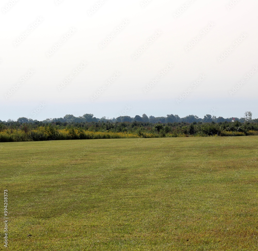 The empty green grass field in the countryside.