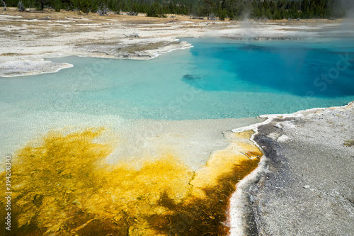 Yellowstone National Park 2020 with geysers and thermal pools.