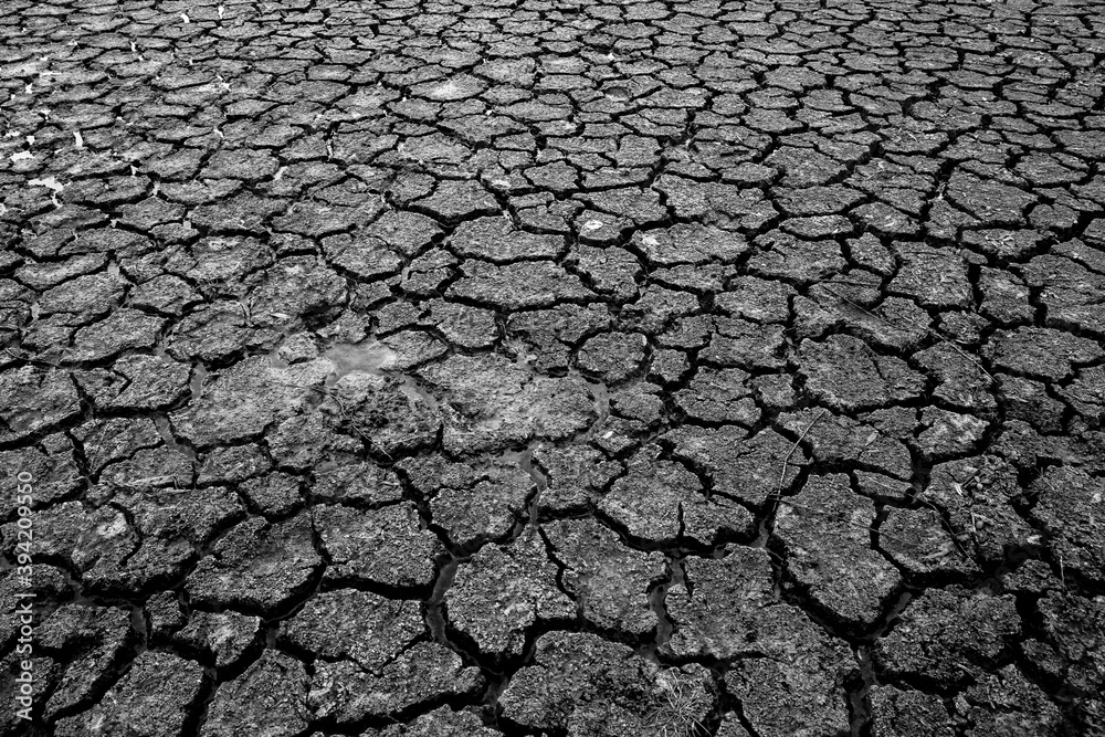 Landscape dried and cracked background. The soil dry. Drouth concept. No water. Landscape dried and cracked background. The soil dry. Drouth concept. No water.