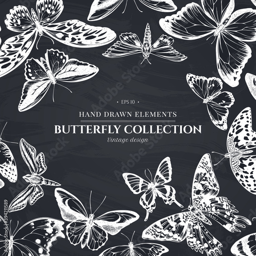 Monochrome design with chalk great orange-tip, emerald swallowtail, plain tiger, rajah brooke s birdwing, papilio torquatus, swallowtail butterfly