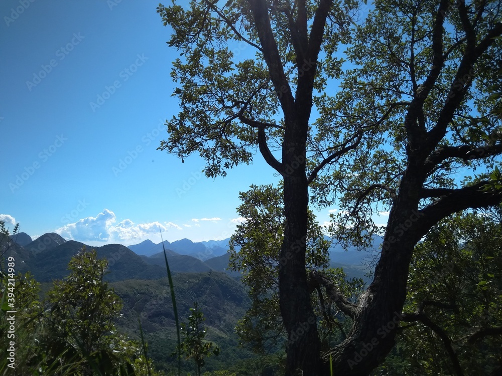 Obraz premium national park