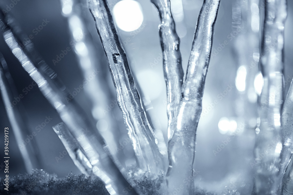 close up illuminated winter icicles in snow close up illuminated winter icicles in snow