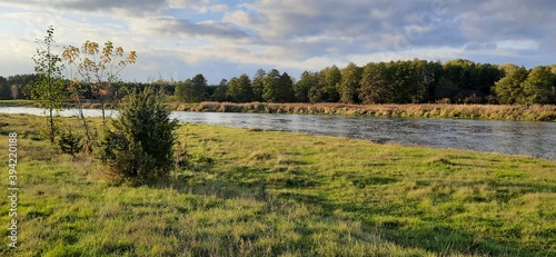 Spring in Polnad, Narew river.