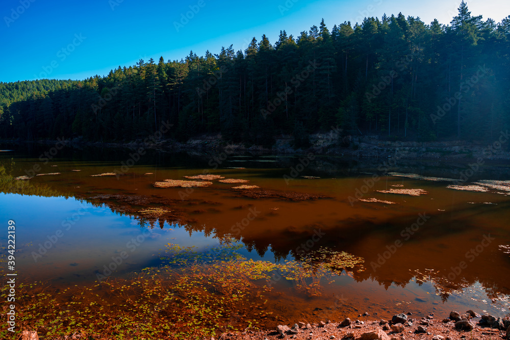 Colorful reflections in the lake. Bozcaarmut lake in Bilecik Turkey in the autumn. Colorful reflections in the lake. Bozcaarmut lake in Bilecik Turkey in the autumn.