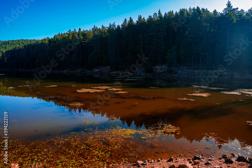 Colorful reflections in the lake. Bozcaarmut lake in Bilecik Turkey in the autumn.