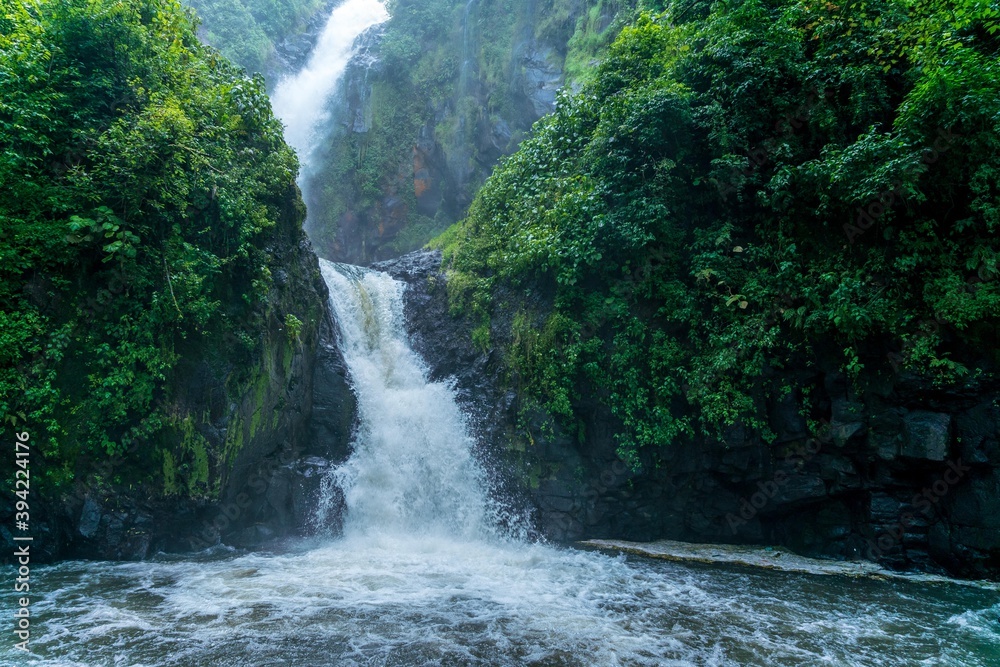 Fototapeta premium River in the mountain forest sunny day