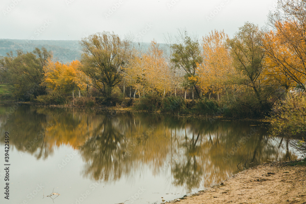 Beautiful rural landscape in Europe. Sunny nature with meadow and colorful forest. Orange trees on hillsides. Beautiful rural landscape in Europe. Sunny nature with meadow and colorful forest. Orange trees on hillsides.