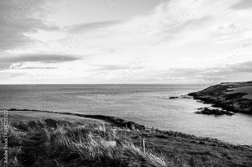 Black and White Photograph of the West County Cork Countryside and Irish Sea. 