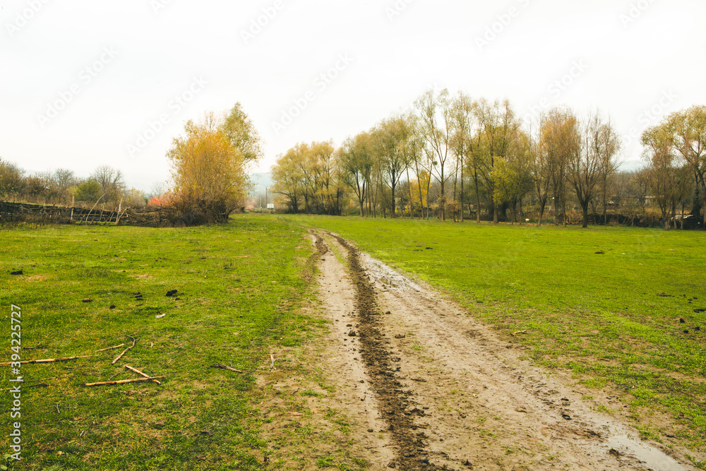 Beautiful rural landscape in Europe. Sunny nature with meadow and colorful forest. Orange trees on hillsides.