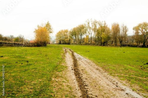 Beautiful rural landscape in Europe. Sunny nature with meadow and colorful forest. Orange trees on hillsides.