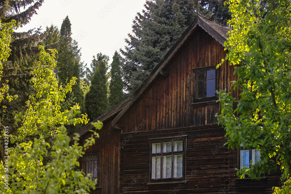 Fototapeta premium An ancient wooden house made of log cabins in traditional Ukrainian style in the forest. The windows and the roof close up. Travel in Kyiv, Ukraine.