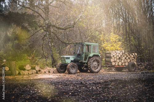 Old green tractor with trailer loaded with logs. Forestry tractor or forestry tractor for harvesting wood in the forest