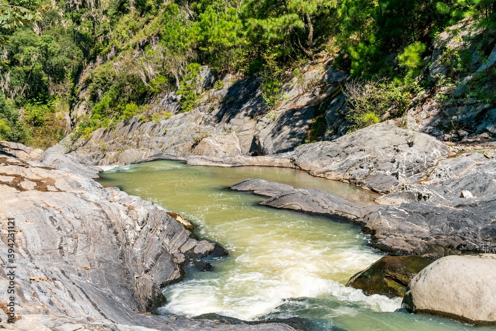 River in the mountain forest sunny day River in the mountain forest sunny day