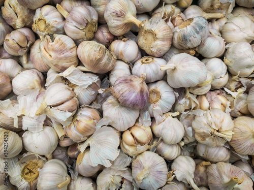 A background of a large number of medium-sized white garlic bulbs. Background from vegetables on a shop window. Harvesting white garlic bulbs.