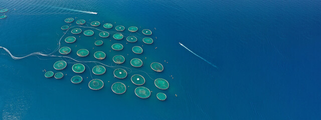 Aerial drone ultra wide photo of large fish farming unit of sea bass and sea bream in growing cages in calm waters of Mediterranean destination