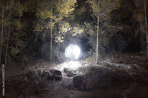 light ball in the forest