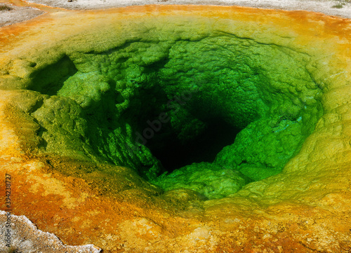 Colorful Morning Glory Pool At Upper Geyser Basin Yellowstone National Park On A Sunny Summer Day photo