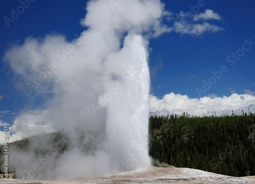Eruption Of The Old Faithful Geyser At Upper Geyser Basin Yellowstone National Park On A Sunny Summer Day With A Clear Blue Sky And A Few Clouds