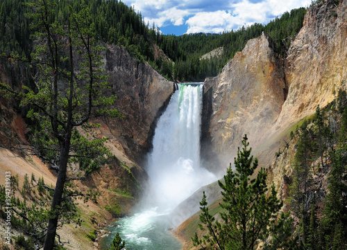 View To The Lower Yellowstone Falls From Red Rock Point On A Sunny Summer Day With A Clear Blue Sky And A Few Clouds