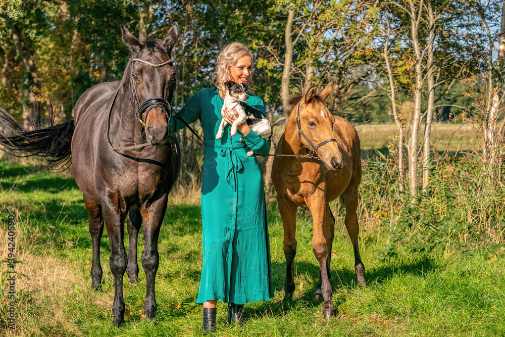 Beautiful portrait of a blond smiling girl with her horse, foal and dog in the forest. Wearing a green dress Beautiful portrait of a blond smiling girl with her horse, foal and dog in the forest. Wearing a green dress