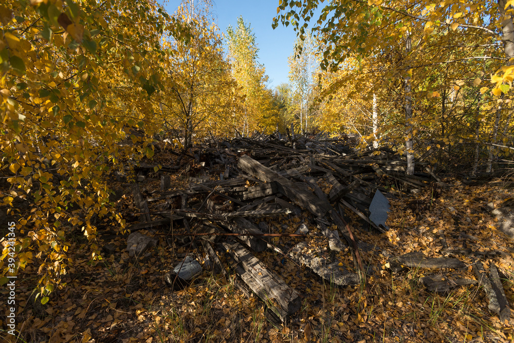Obraz premium Dump of radioactive railroad ties near Chernobyl nuclear power plant in Ukraine