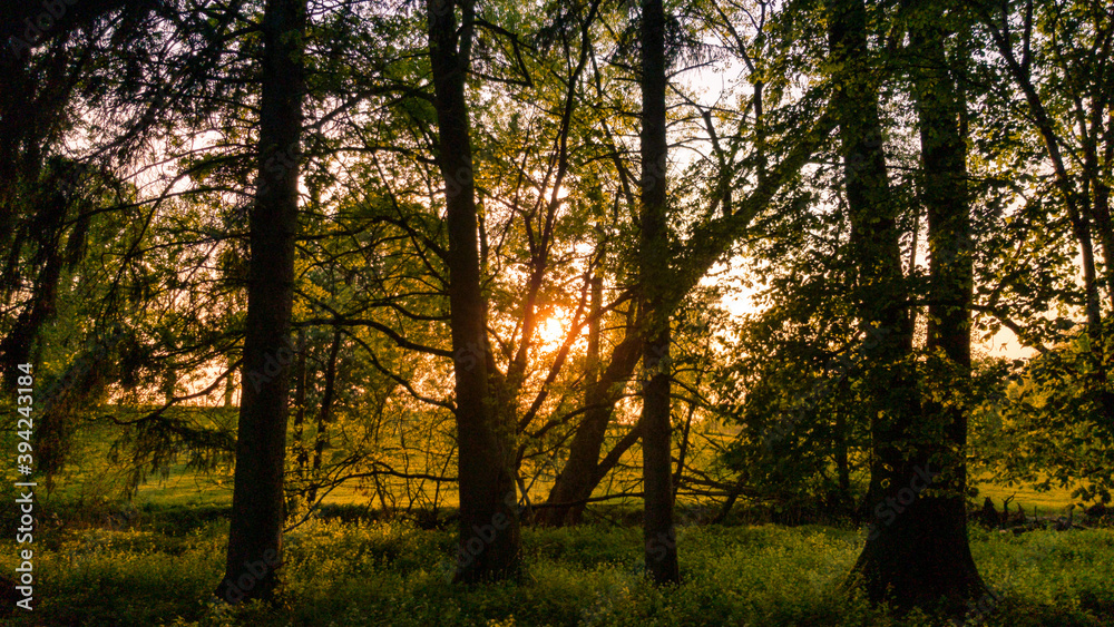 Obraz premium Photography