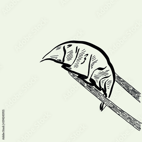 gyoza and chopsticks. black and white sketch of food. vector eps 10. chinese dumplings. a traditional Japanese dish. poster for restaurant, Asian cafe. street food. Japan, Korea, Seoul, Tokyo, Bangkok