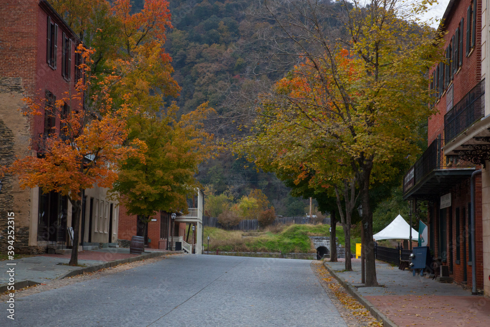 Fall trees and buildings