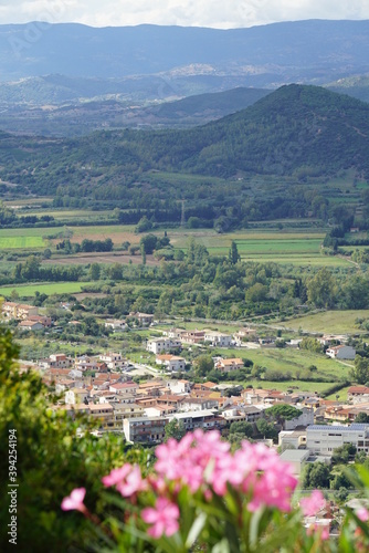landscape with flowers and mountains