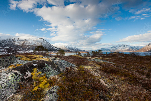 Fototapeta Naklejka Na Ścianę i Meble -  Springtime in northern Norway
