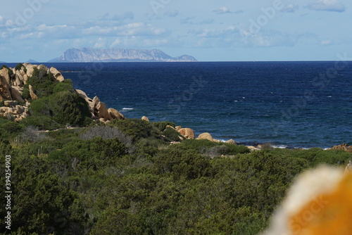 coast of the sea